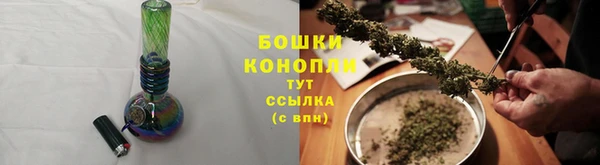 индика Богородицк